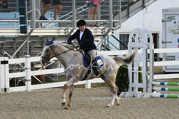 HSM_0951