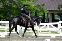 HSM_2664