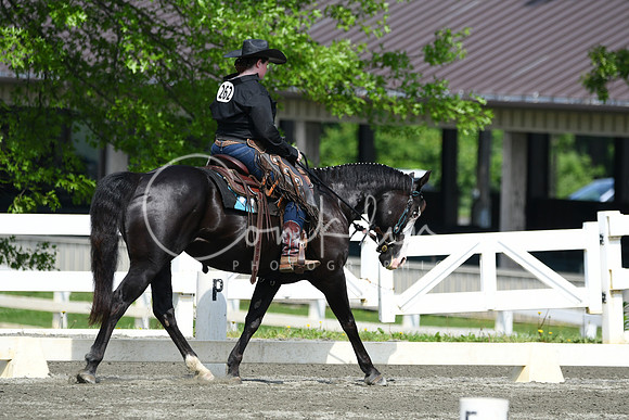 HSM_2664