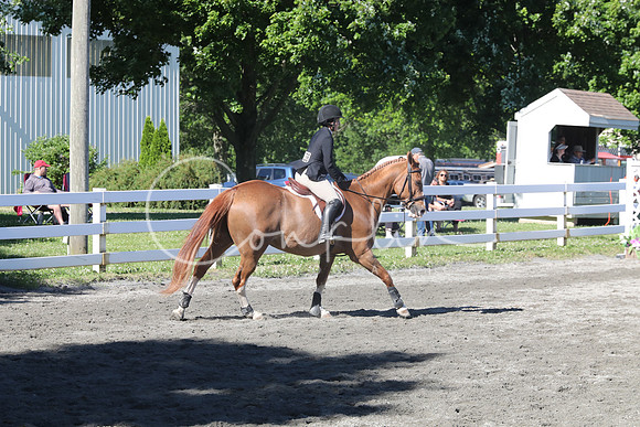5H2A3799