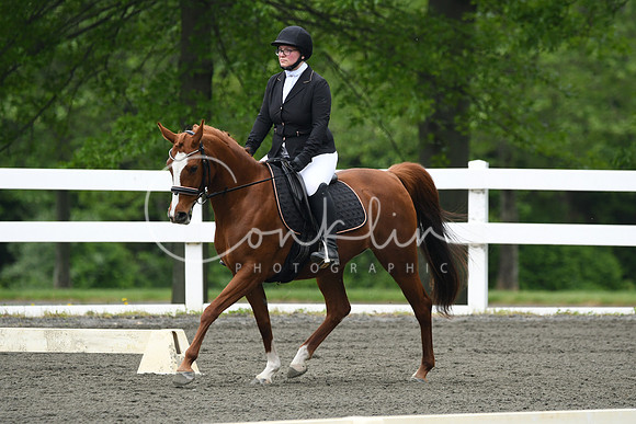 HSM_9534