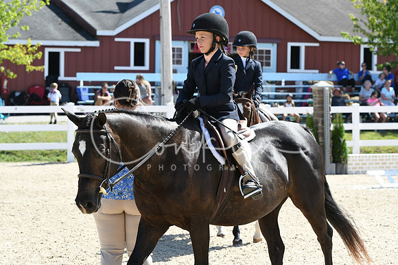 HSM_3374