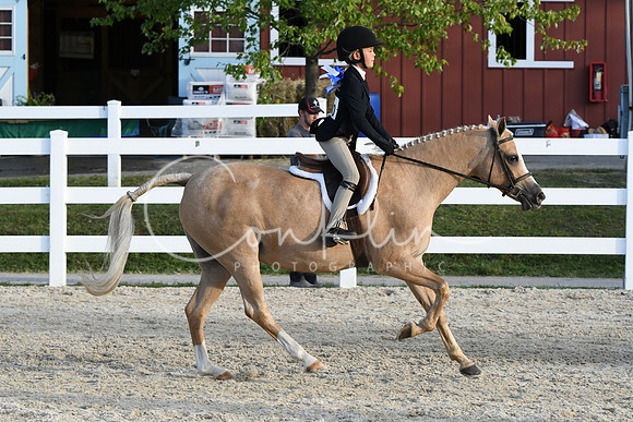 HSM_4590