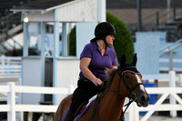 HSM_0842