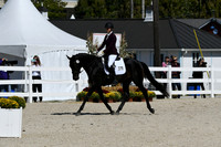 HSM_4801