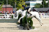 HSM_6102