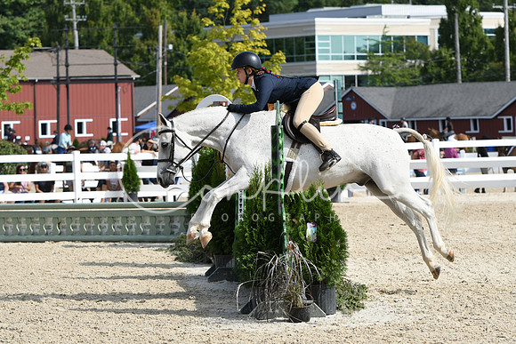 HSM_6102