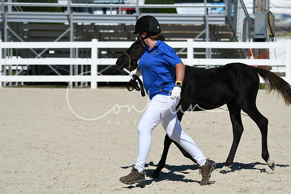 HSM_4584