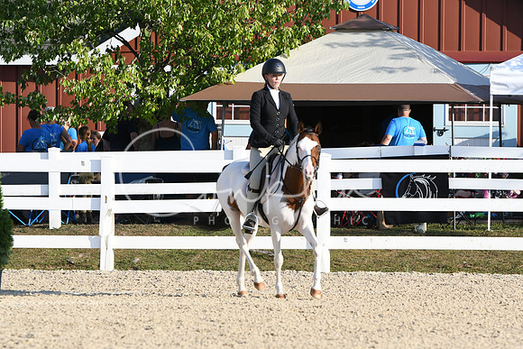 HSM_0049