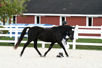 HSM_5669