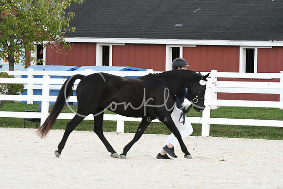 HSM_5669