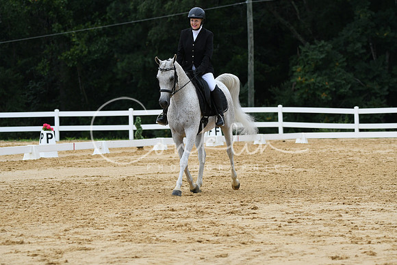 HSM_0278