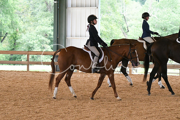 HSM_1667