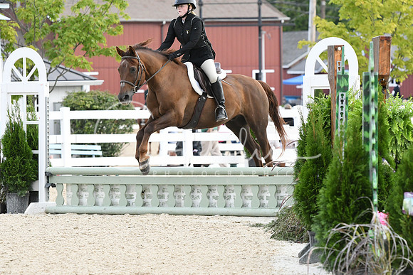HSM_5336