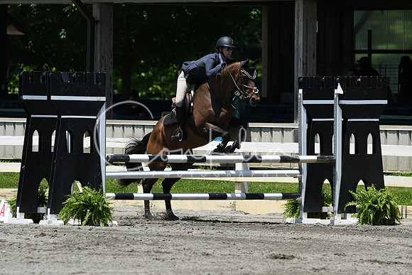 HSM_3277