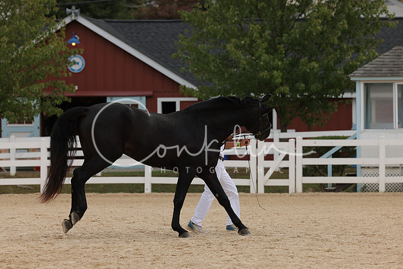 HLK_0520