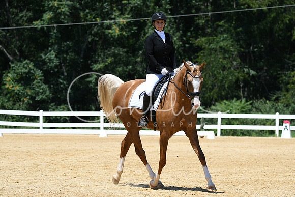 HSM_1381