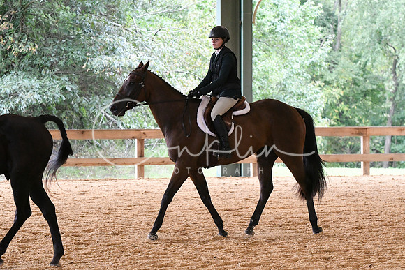 HSM_1622