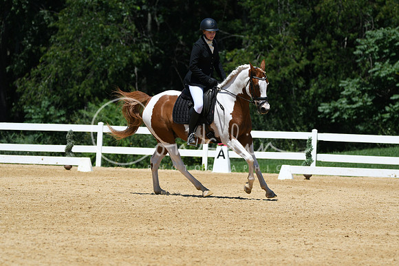 HSM_1309