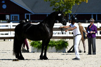 HSM_4700