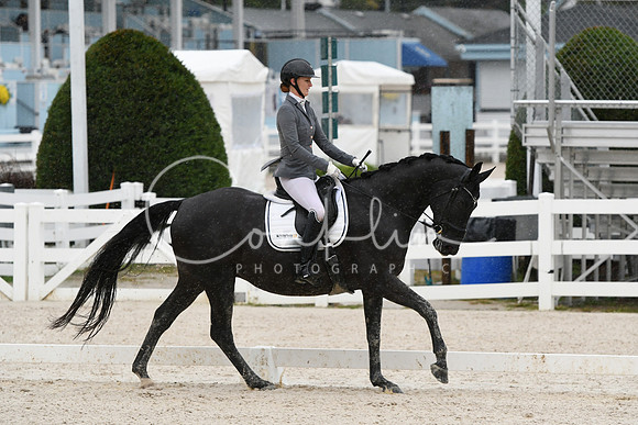HSM_0311