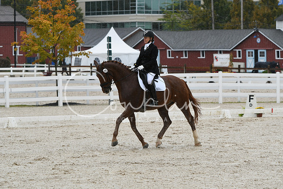 HSM_0398