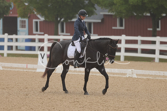HLK_0447