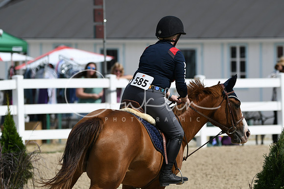 HSM_2163