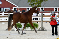HSM_5351