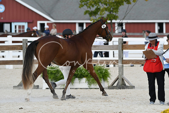 HSM_5351