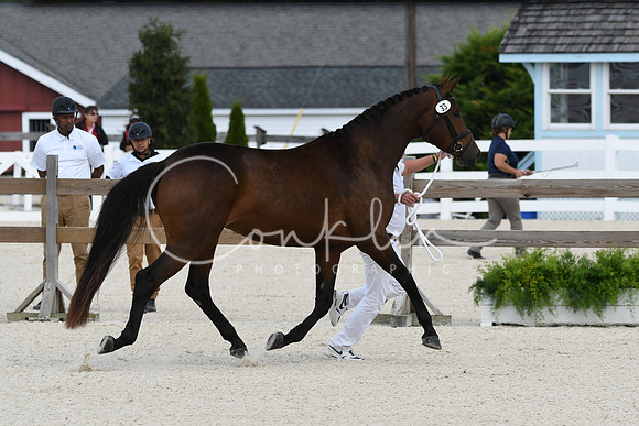HSM_4903