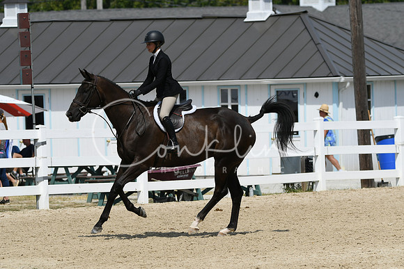 HSM_9028