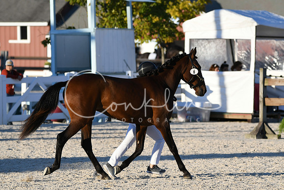 HSM_5618