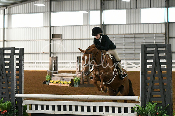 HSM_4338