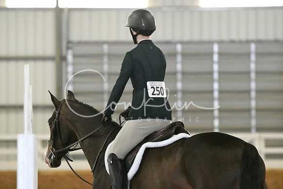 HSM_5531