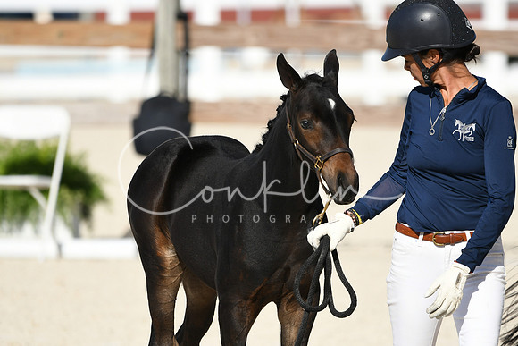 HSM_5317