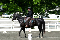 HSM_2672