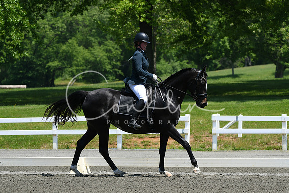 HSM_1831