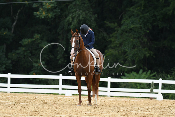 HSM_0015