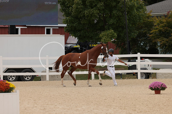 HLK_0763