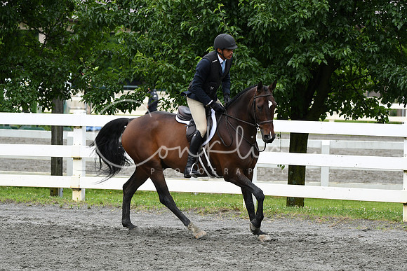 HSM_4053
