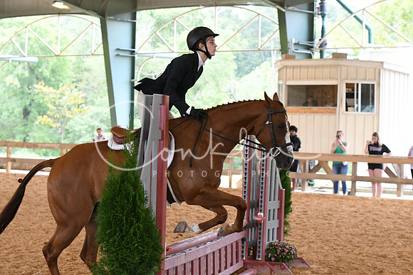 HSM_1311