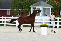 HSM_5752