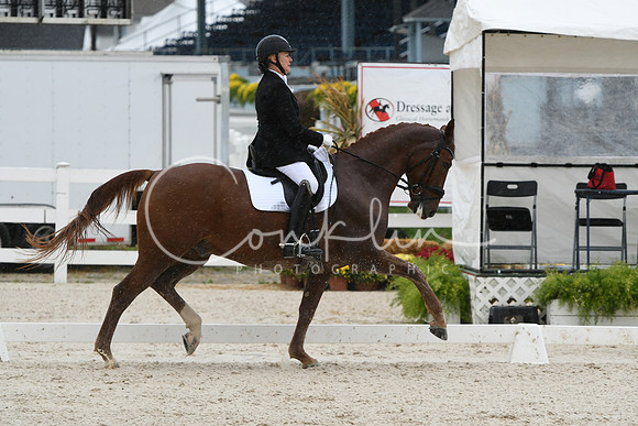 HSM_0394