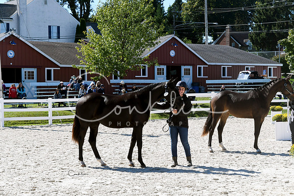 HSM_6013-1