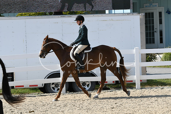 HSM_8282