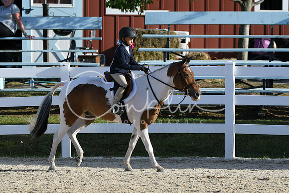 HSM_4312