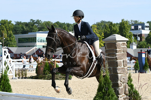 HSM_8219