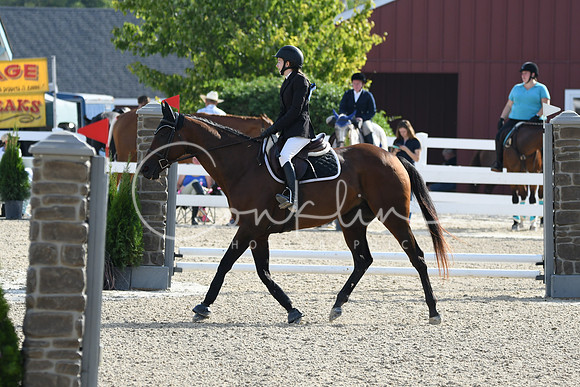 HSM_1446