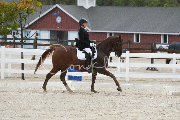 HSM_0383